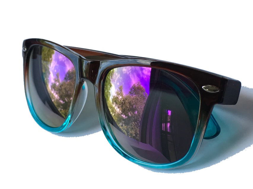 Original Rayminder Sunglasses